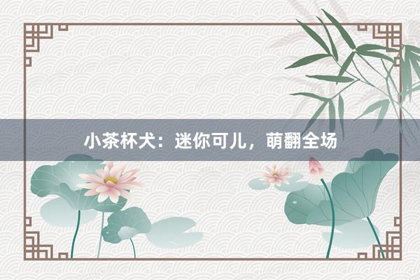 小茶杯犬：迷你可儿，萌翻全场