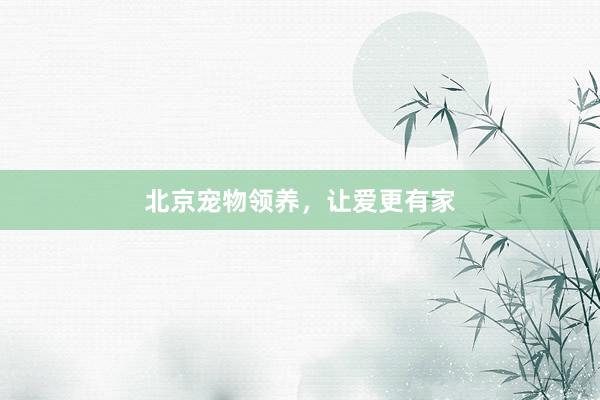 北京宠物领养，让爱更有家