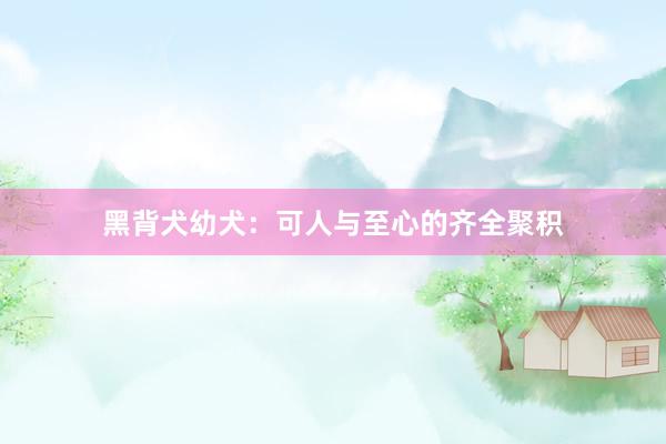黑背犬幼犬：可人与至心的齐全聚积