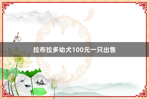 拉布拉多幼犬100元一只出售