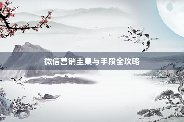 微信营销圭臬与手段全攻略